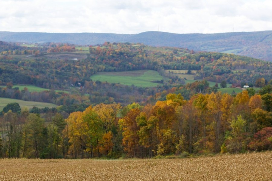 fall foliage pipeline right of way