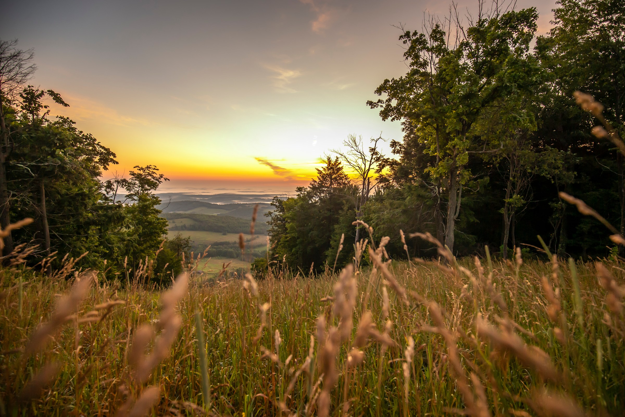 Protecting and Maintaining Ecological Stability - Hero Image