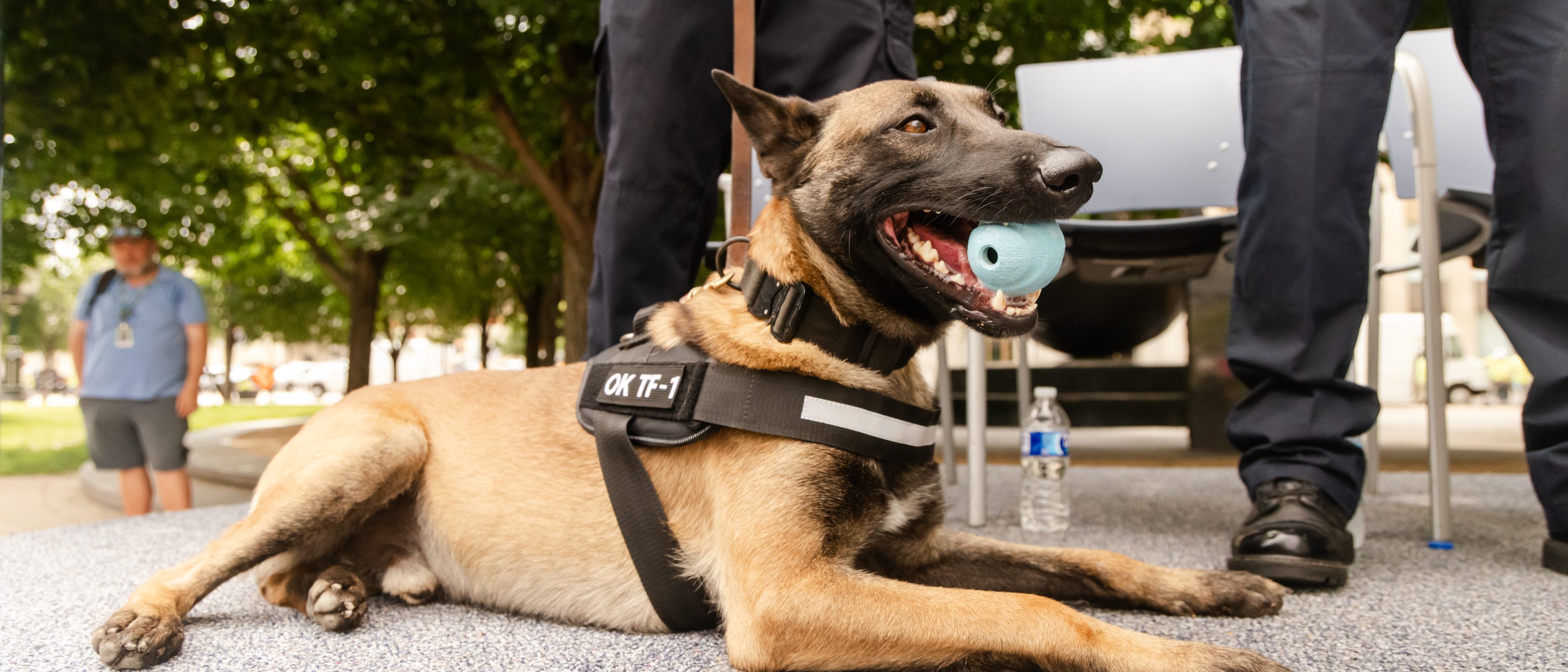 PassingtheLeashLambo-61