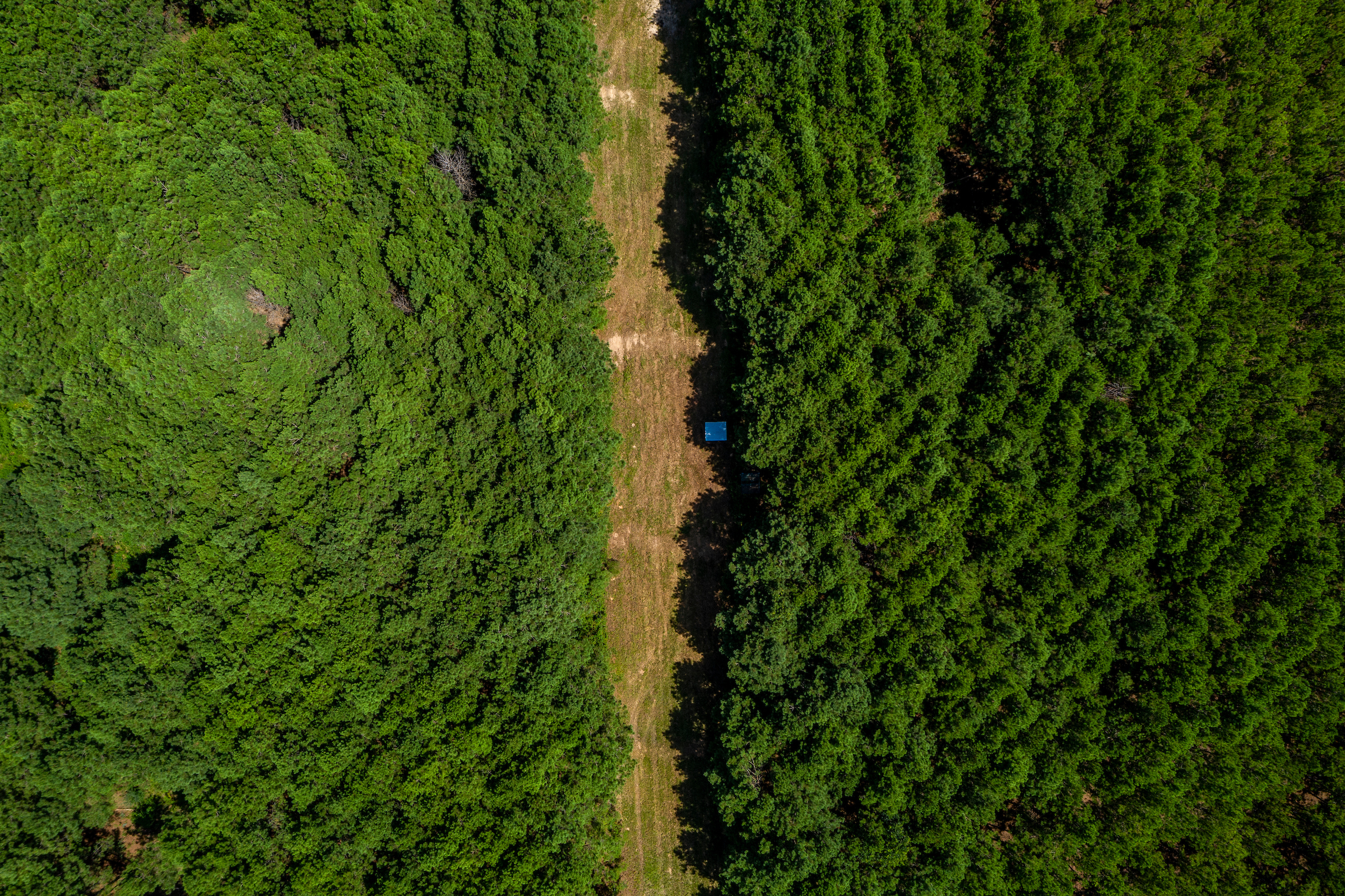 Pine Prairie Energy Center<br> - Hero Image