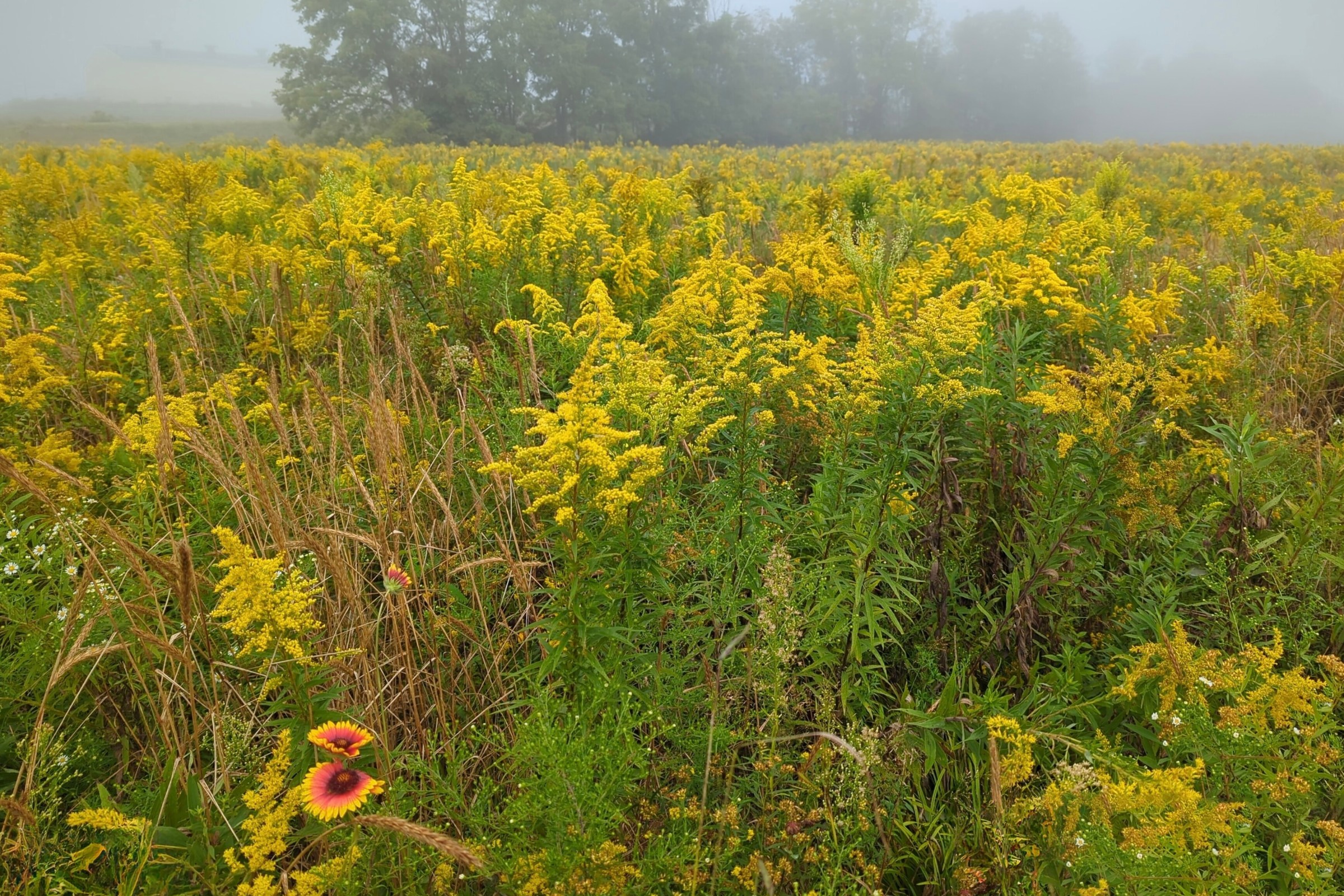 Environmental, Social & Governance (ESG) - Hero Image