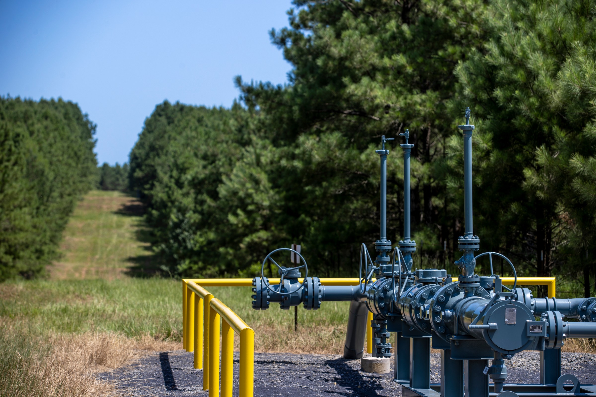 Driftwood line 200 - Hero Image