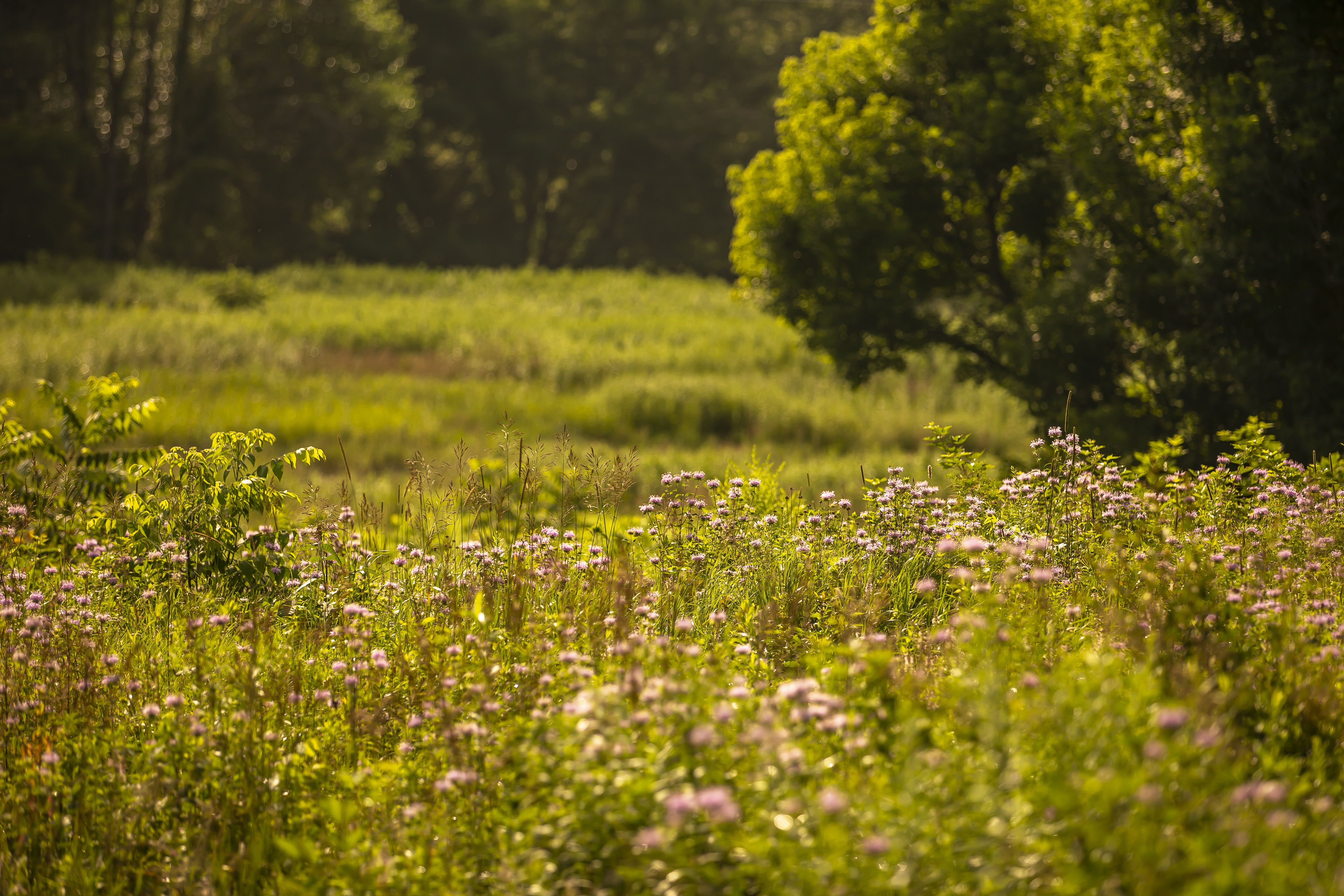 ight of way images from the Dushore, PA area for Williams.