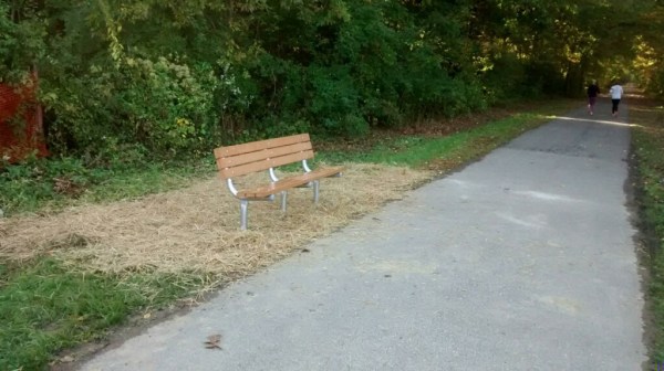 Bench_NJ