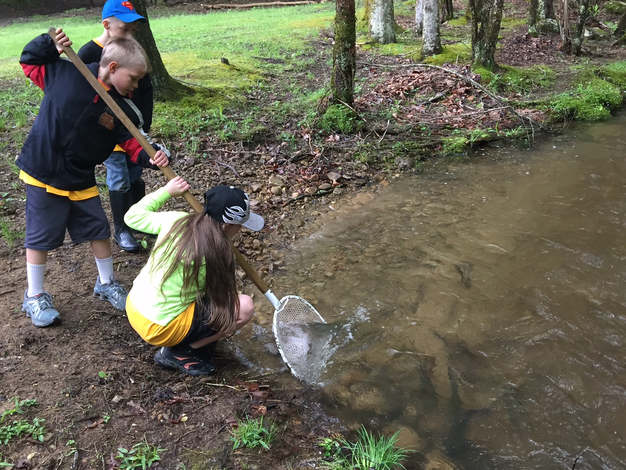Trout in the Classroom Connecting students to their watersheds