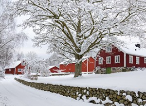 Characteristic Swedish settlement in winter season