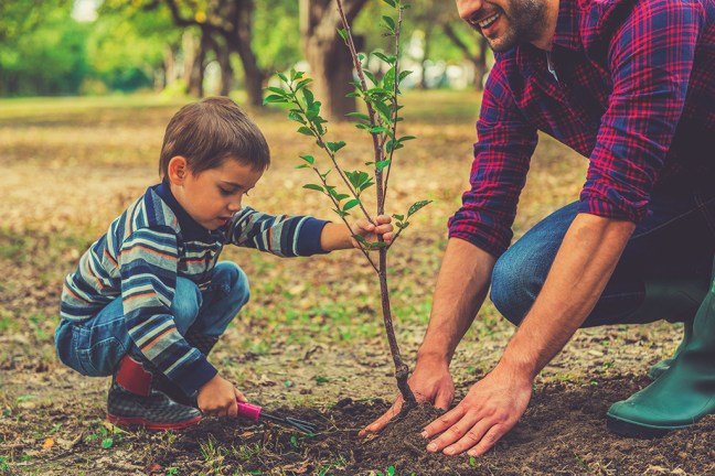 boy planting tree with adult