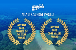 International association recognizes Williams for project public engagement
