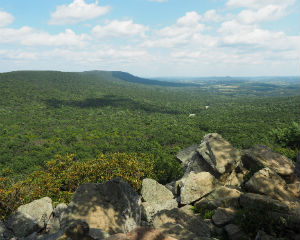Partnership helps conserve Pennsylvania acreage for migratory birds