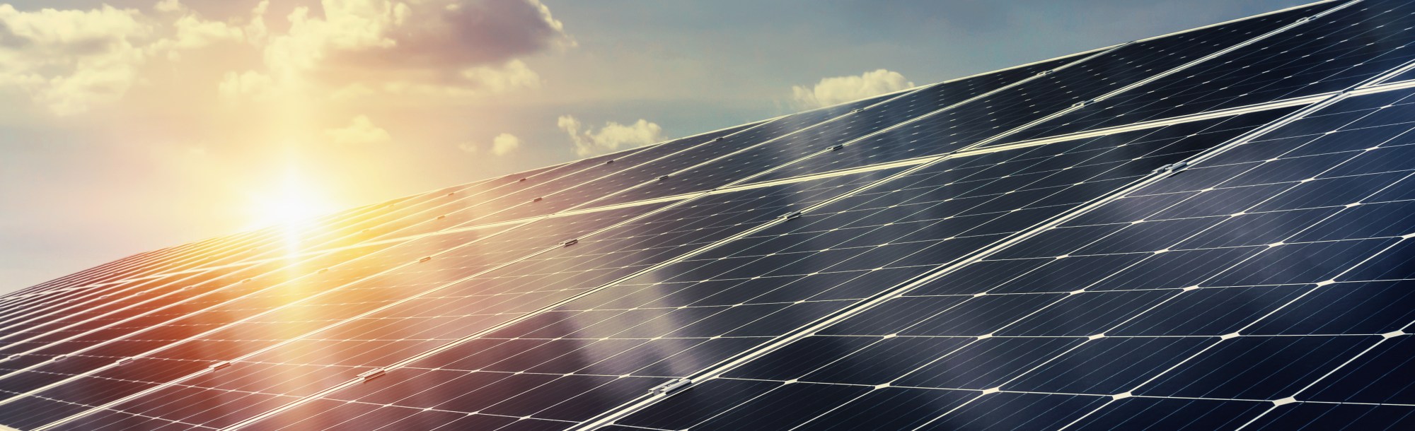 pharrell williams solar