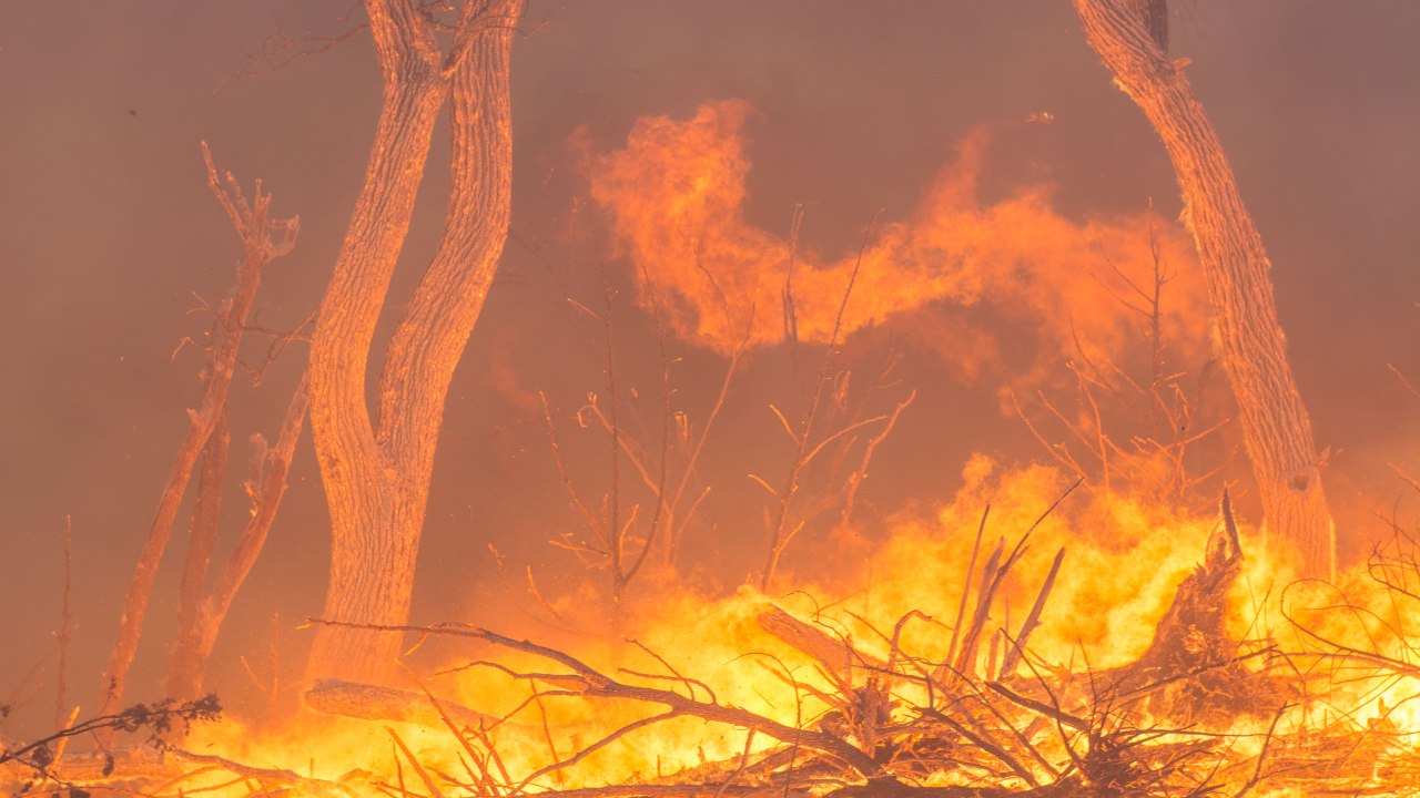 wildfire photo