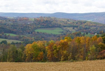 fall foliage pipeline right of way