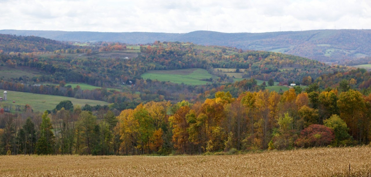 fall foliage pipeline right of way