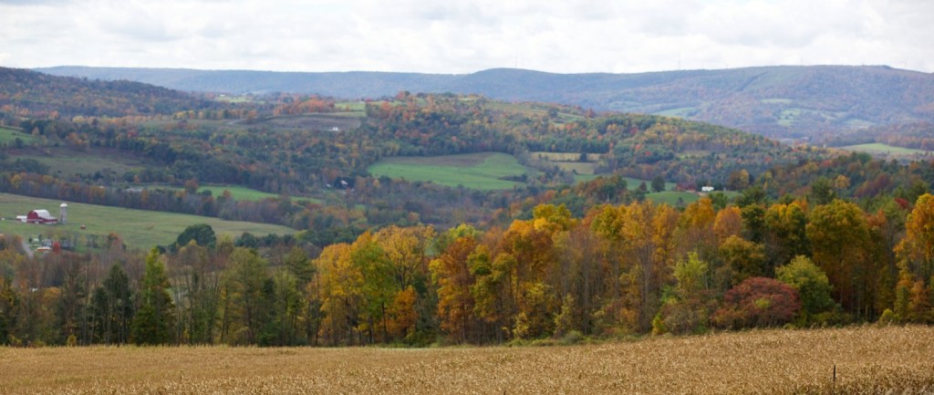 fall foliage pipeline right of way