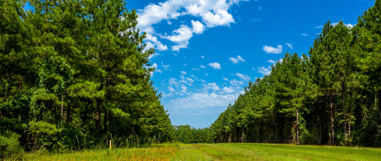 NonGHG Air Emissions Williams Companies